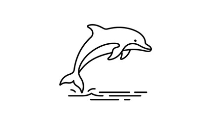 dolphin jumping out of water © Azizul