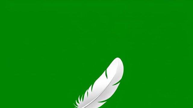 White feathers gently floating down on a green screen background with cinematic motion for motion graphics