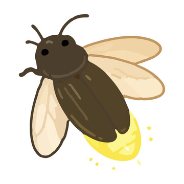 Cute Glowing Firefly Lightning Bug Cartoon Vector Illustration
