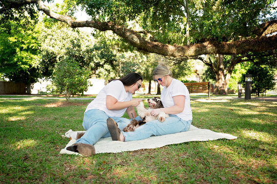 Two women relaxing with a senior spaniel on a blanket outdoors