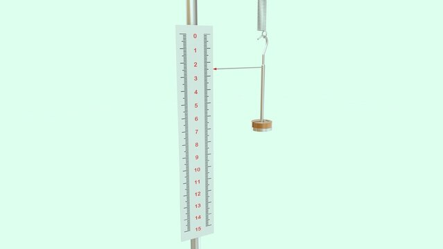 A Hooke's Law apparatus is a standard laboratory setup used to demonstrate how the extension of an elastic material (like a spring) is directly proportional to the force applied to it