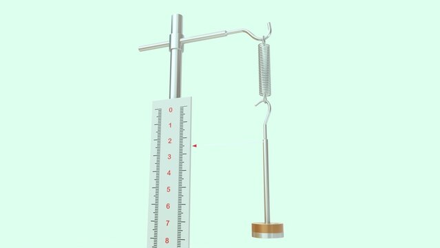 A Hooke's Law apparatus is a standard laboratory setup used to demonstrate how the extension of an elastic material (like a spring) is directly proportional to the force applied to it