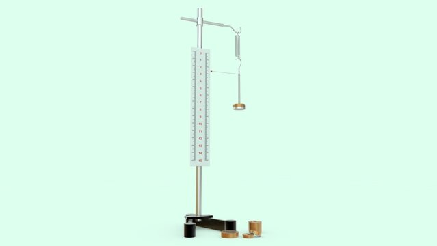 A Hooke's Law apparatus is a standard laboratory setup used to demonstrate how the extension of an elastic material (like a spring) is directly proportional to the force applied to it