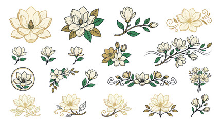 beautiful magnolia flowers and leaves illustration © puan