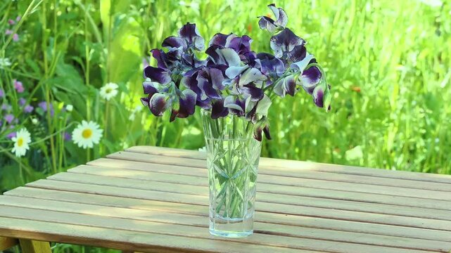 Glass vase full of freshly picked &ldquo;Nimbus&rdquo; sweet peas on a wooden table in the garden.