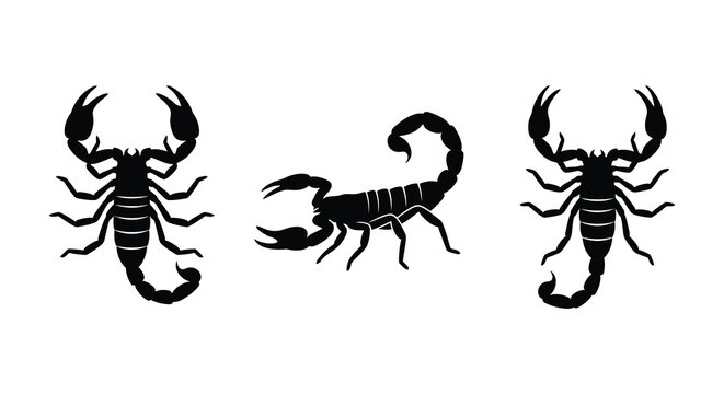 Three scorpion silhouettes in a flat black and white graphic design silhouette scorpions arachnid