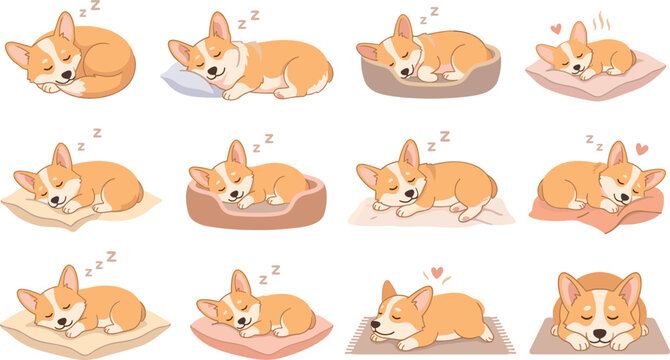 Cute sleeping corgi puppy character vector illustration set featuring tired cartoon dogs napping on pillows cushions mats and pet beds isolated on white background