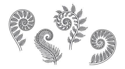 fern leaves and ammonite fossils © puat