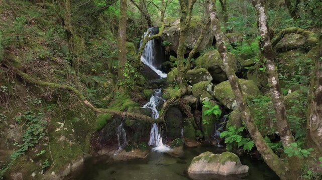 Santo Estevo do Ermo Waterfall Over Mossy Rocks In Barreiros, Galicia, Spain. Aerial Forward Shot