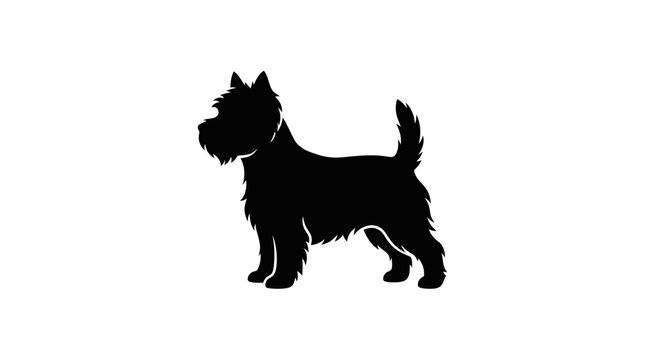West highland white terrier dog silhouette standing in profile