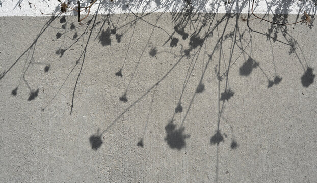 Abstract floral shadow overlay on a grey concrete background