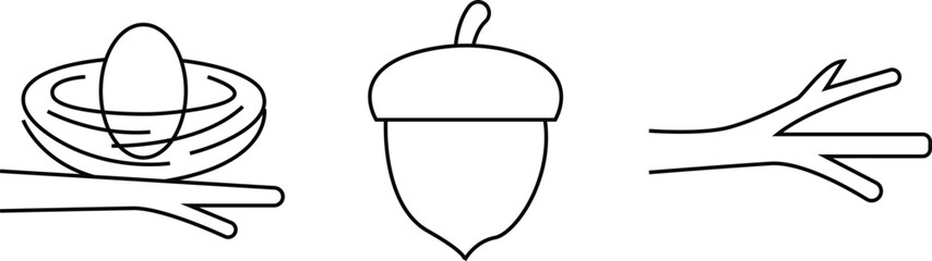 Set of three simple line art icons of bird nest acorn and branch. Editable thin outline packs. Vector illustration © Shawon's Creation