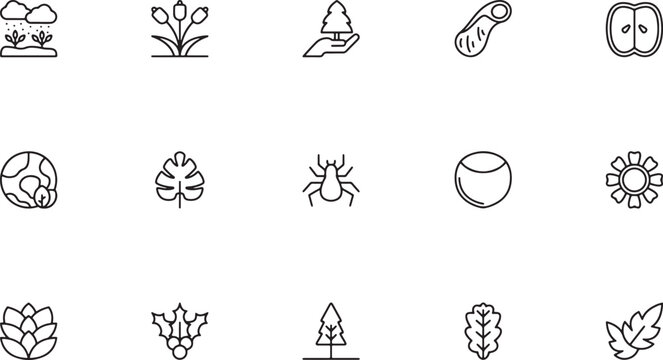 Botany, Ecology, and Microbiology Line Art Icon Set Featuring Tulips, Conservation Hands, Monstera Leaves, Spiders, Nuts, and Microbes for Natural Science and Biology Concepts