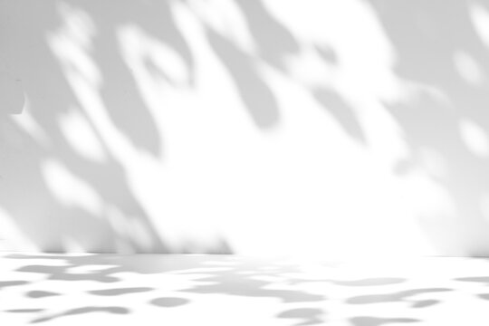 Tree leaf shadow overlay on the wall and floor isolated on a transparent background PNG