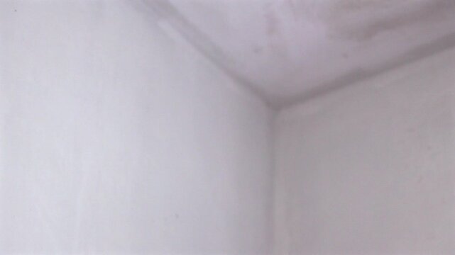 Blurred Wall Painting Process with Copy Space. Out of focus view of a paint roller applying white paint to a wall. Abstract home renovation background with copy space.