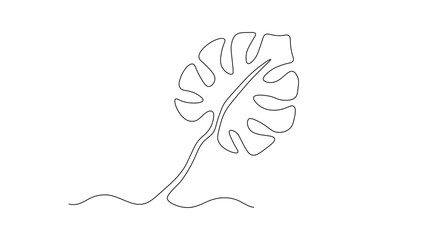 Continuous line drawing of a Monstera deliciosa leaf, minimalist tropical plant illustration, botanical art design, modern home decor concept © YuliaBulgakova
