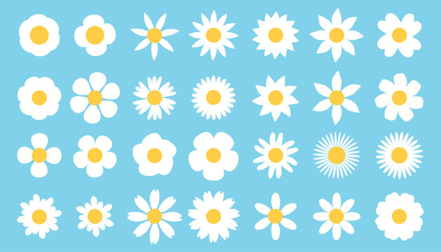 White chamomile flowers seamless pattern on blue background for fabric, wrapping paper, wallpaper, summer stationery and floral packaging projects