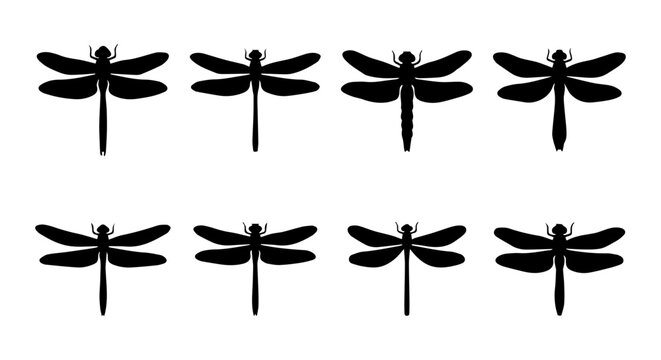 Dragonfly icon set silhouette, white background, vector illustration