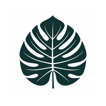 Monstera Leaf Vector Graphic