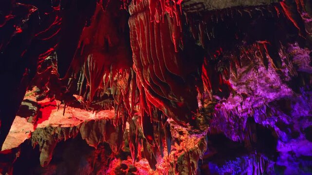 A detailed vertical tilt-down shot inside Yellow Dragon Cave. Intricate limestone stalactites hanging from the cavern ceiling are vividly illuminated with red and purple neon lights.