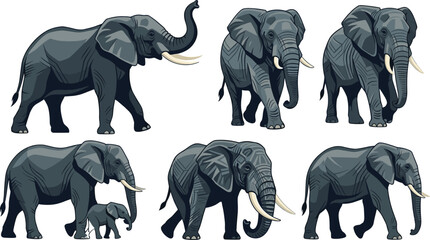 African Elephant Vector Illustration Set Featuring Majestic Wildlife Characters in Various Poses Including Mother and Calf for Safari Nature Graphic Designs © Sultana