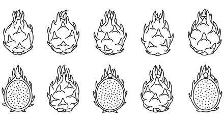 Obraz premium Dragon Fruit Line Art Pattern Multiple Views Of Tropical Fruit