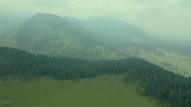 Doodhpathri (Valley of Milk) is a tourist destination and a hill station in the Indian administered union territory of Jammu and Kashmir. It is located in khan sahab area of Budgam district.