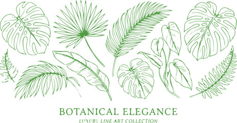 Botanical elegance luxury line art collection, green tropical leaves vector set, hand drawn monstera and palm leaf illustrations for wedding branding isolated on White Background © noor