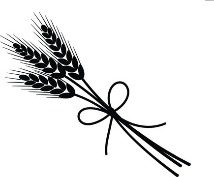 Wheat bundle silhouette tied with ribbon isolated agricultural flat vector illustration design artwork
