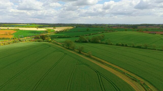 Aerial green wheat fields across productive rural farmland. Commercial crop cultivation under changing spring weather. Agribusiness, food production, arable farming concept