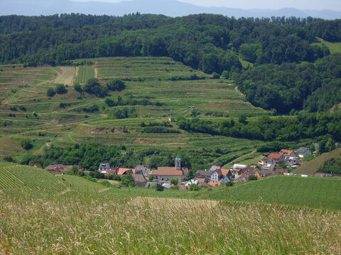 Terraced Vineyards and Scenic Village Landscape