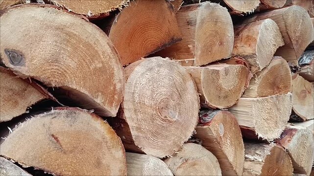 Stack of firewood. Slow zoom on stacked birch firewood logs showing growth rings texture. Rustic fuel, winter preparation, sustainable heating, hygge concept.
