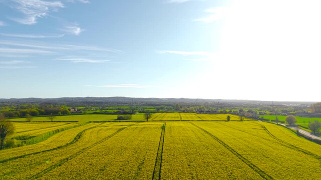 Elevated drone view over patchwork rapeseed fields and green countryside with rural roads and scattered houses. Wide agriculture panorama highlighting land division, crop management and rural economy