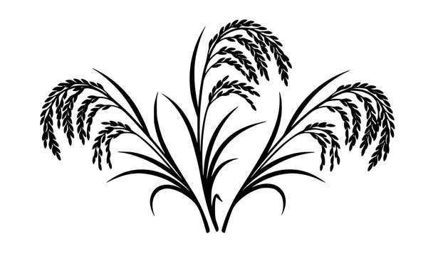 Decorative Rice Plant Silhouette Vector Collection with Grain Clusters and Leaves