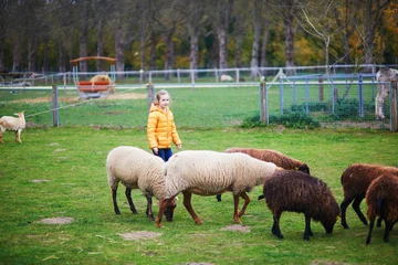 Young girl watching sheep in a farm animal enclosure, illustrating childhood, animal interaction, outdoor learning, and family leisure © Ekaterina Pokrovsky