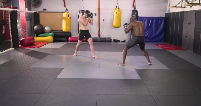 Diverse male sparring partners entering dojo circling exchanging strikes with gloves