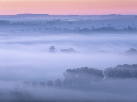 Morning atmosphere in the Saale Valley, fog passes through rows of trees at dawn in autumn, Naumburg, Saxony-Anhalt, Germany
