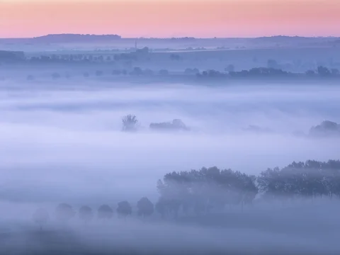Morning atmosphere in the Saale Valley, fog passes through rows of trees at dawn in autumn, Naumburg, Saxony-Anhalt, Germany