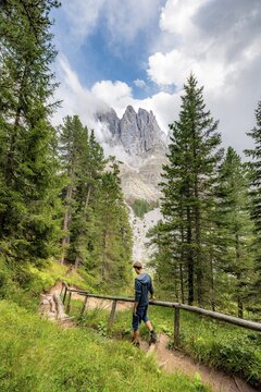 Young man, hiker on a hiking trail in the forest, in the back mountain peaks of the Geislergruppe, Parco Naturale Puez Odle, South Tyrol, Italy