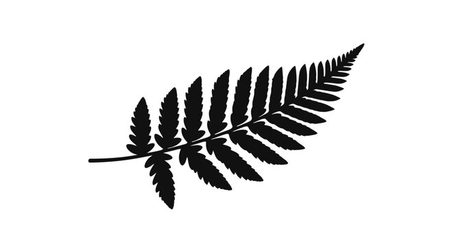 Black Silhouette of a Fern Leaf.