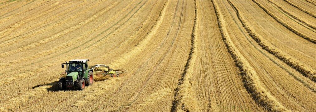 Tractor in stubble field harvesting and turning straw, Saalekreis, Saxony-Anhalt, Germany