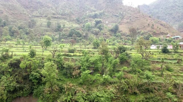 sloping field at the top of the hills situated somewhere at Mandi Distt Himachal Pradesh India 333