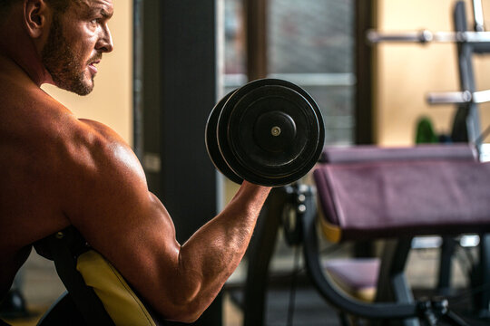 Man bodybuilder doing exercises with dumbbells. Fitness man lifting dumbbell. Bodybuilder working out with dumbbell weights at the gym. Man lifting dumbbell in a gym making exercise for muscles