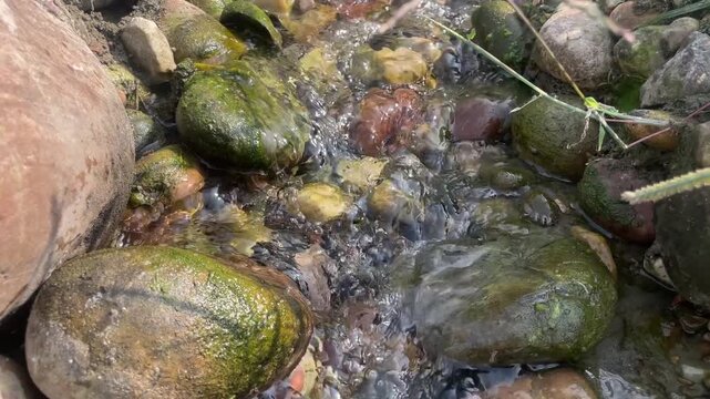 Water flow from large stones and coral reef is floting along with at the bank of river beas