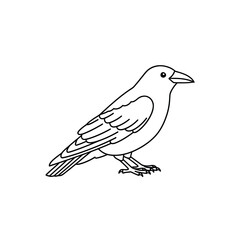 Fototapeta premium Simple Crow Line Art Illustration