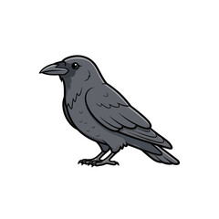 Naklejka premium Cartoon Black Crow Illustration Isolated on White