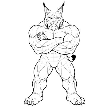 Hand drawn black ink line art sketch of heavy stocky male lynx furry body base, front view standing with huge arms crossed over chest isolated on white. Technical illustration.