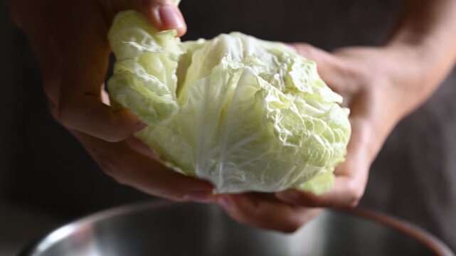 Woman hand peeling Chinese cabbage leaf into a bowl, preparing vegetables for cook
