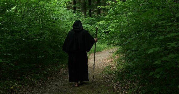 Rear view of a monk making a walking pilgrimage through a forest landscape in a calm natural environment.