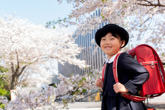 新入学の一年生